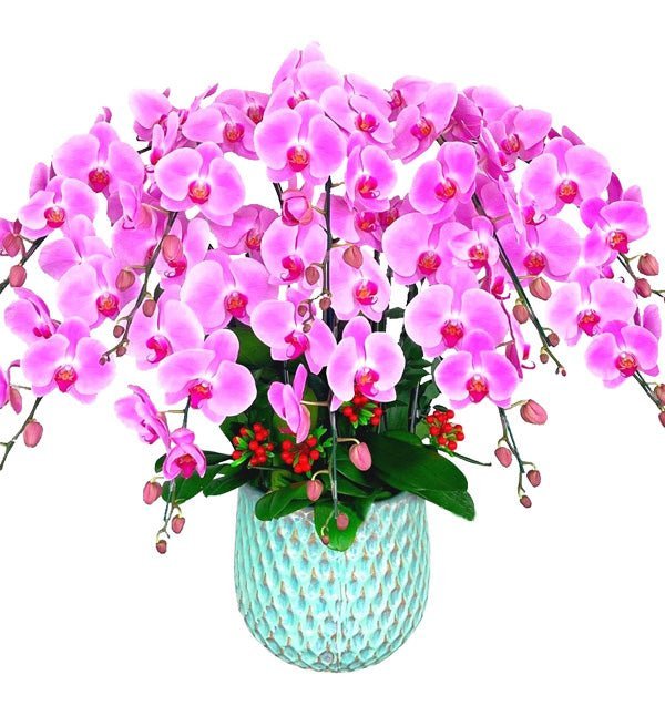 Tài Hoa Như Ý