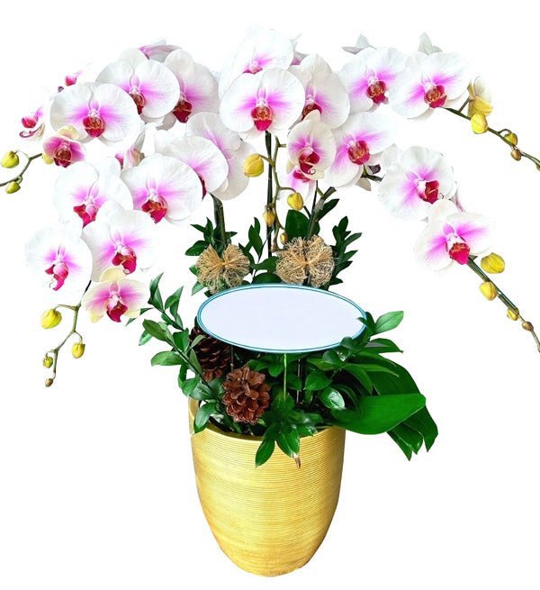 Tăng Vạn Lộc