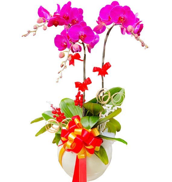 Thắm Tình Tổ Ấm