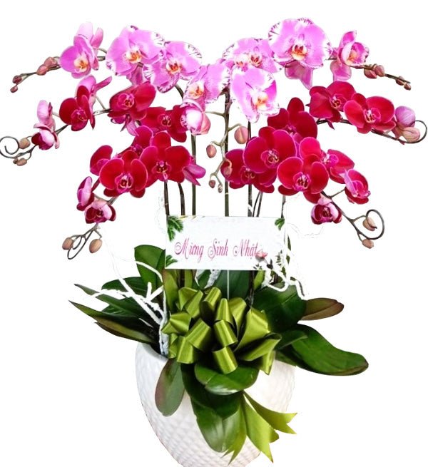 Thất Sắc Yêu Thương