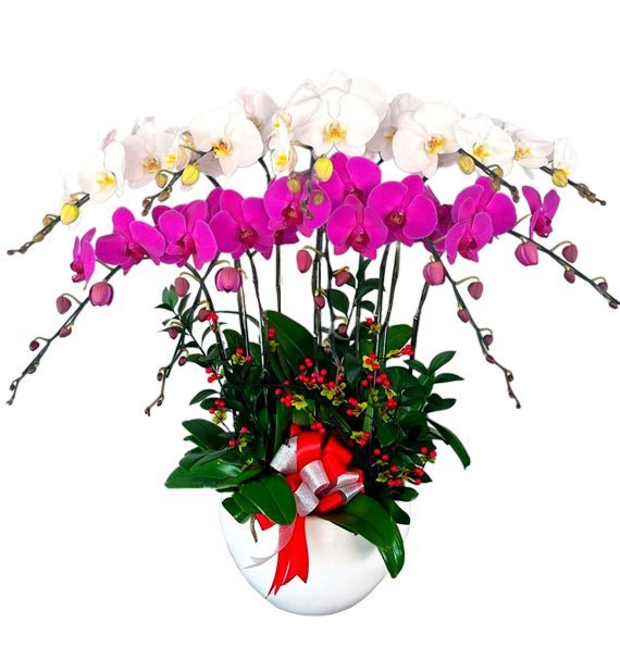 Thịnh Vượng Khởi Nguồn