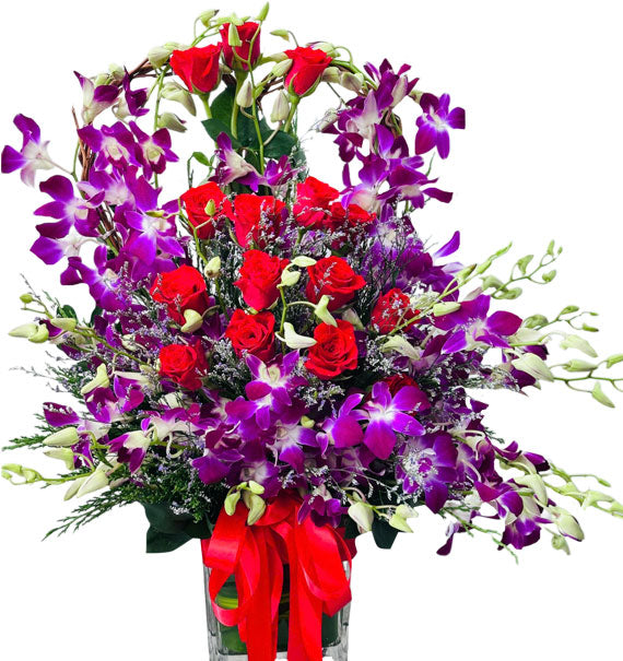 Tím Moka Yêu Thương