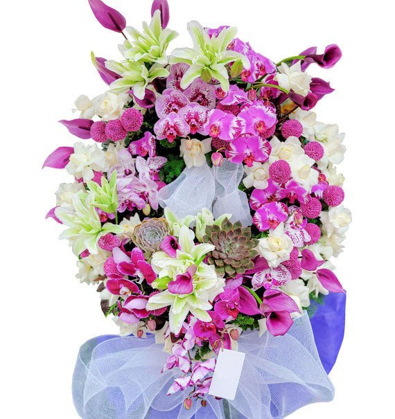 Tình Thân Cứu Rỗi - Hoa Sài Gòn