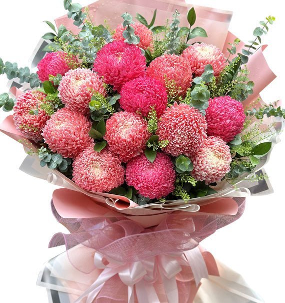 Tinh Tú Của Trái Tim