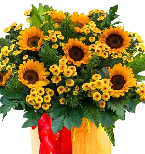 Tỏa Sáng Tuổi Mới