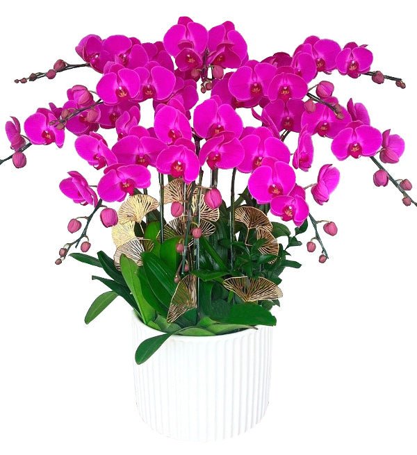 Trường Sắc Vương Lan
