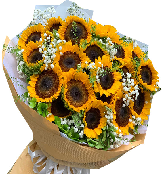 Vầng Dương Tỏa Sáng