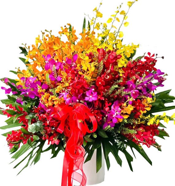 Vũ Điệu Lan Moka