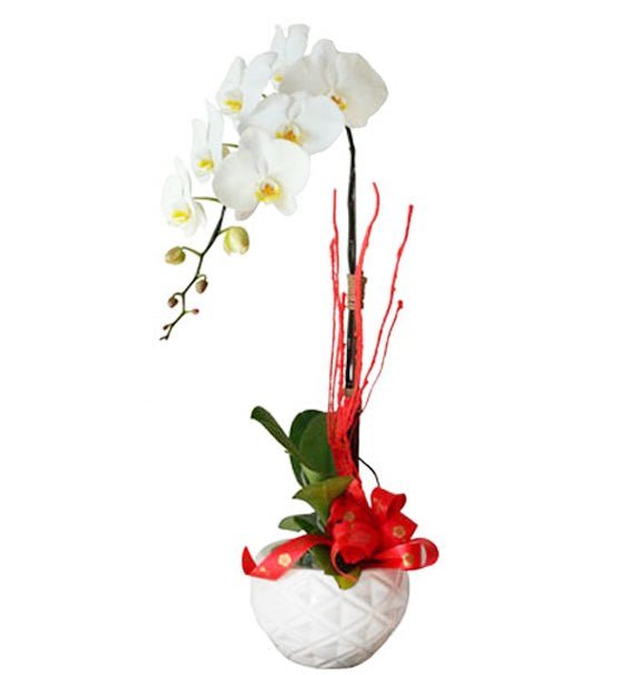 Vun Đắp Thịnh Vượng