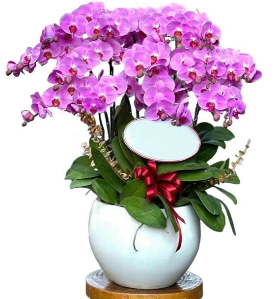 Yêu Kiều