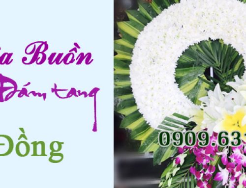 Hoa Đám Tang Lâm Đồng – Dịch vụ hoa đám tang lâm đồng