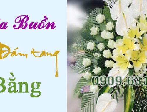 Hoa Tang Lễ Cao Bằng – Dịch vụ hoa tang lễ cao bằng