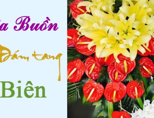 Hoa Tang Lễ Điện Biên – Dịch vụ hoa tang lễ điện biên