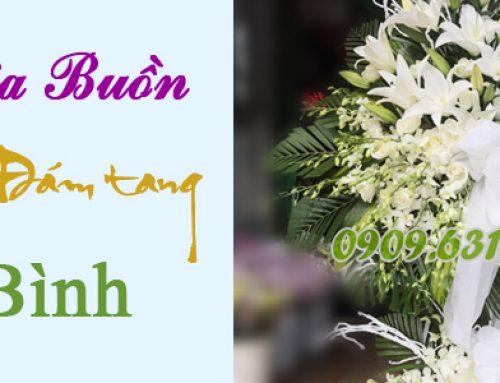 Hoa Tang Lễ Hoà Bình – Dịch vụ hoa tang lễ hoà bình