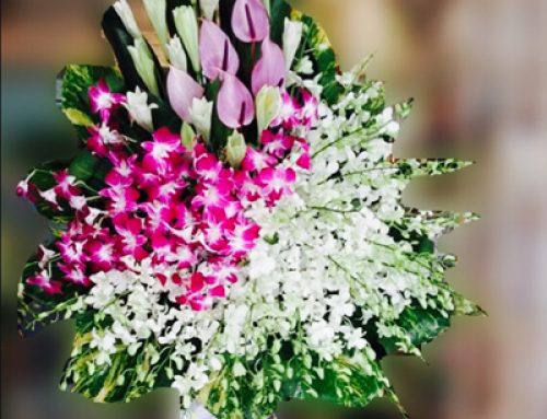 Hoa Tang Lễ Rạch Giá – Dịch vụ hoa tang lễ tỉnh rạch giá