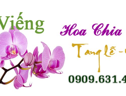 HOA VIẾNG ĐÁM TANG – Hoa Đám Tang