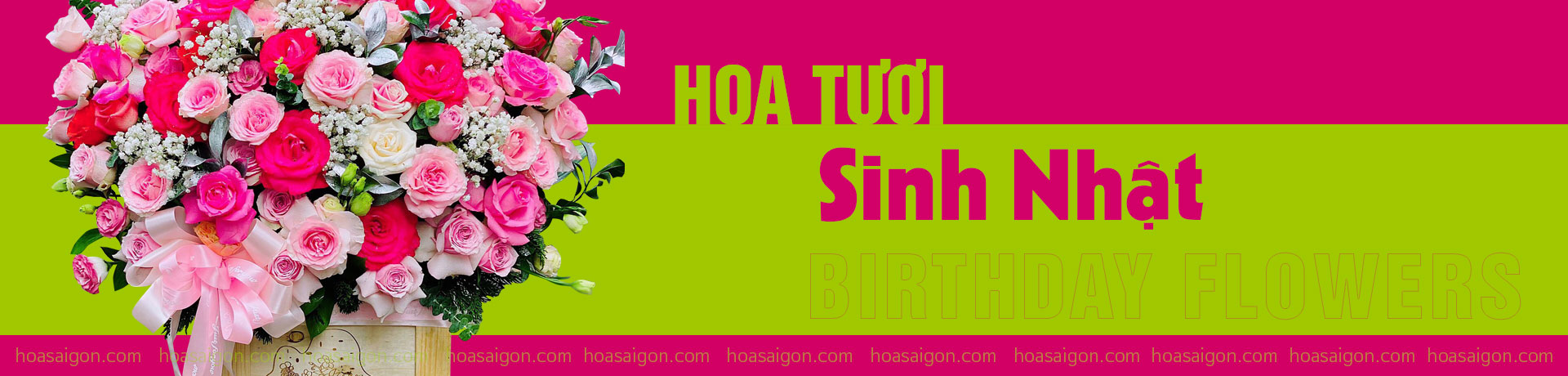hoasinhnhat-background-title-page02-1920x450