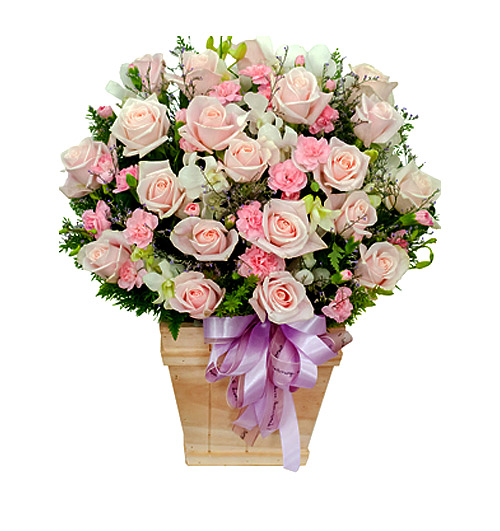hộp gỗ hoa hồng dâu kem